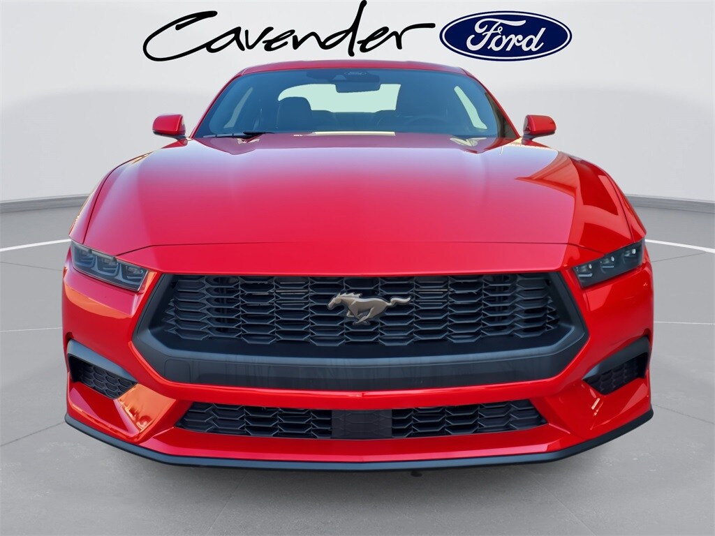 2025 Ford Mustang EcoBoost Premium photo 2