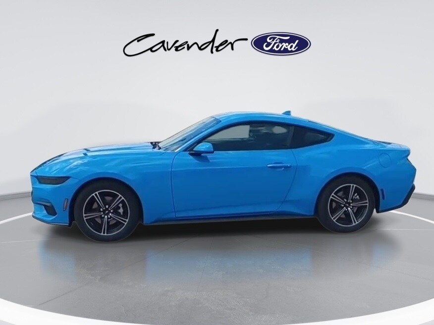 2025 Ford Mustang EcoBoost photo 4