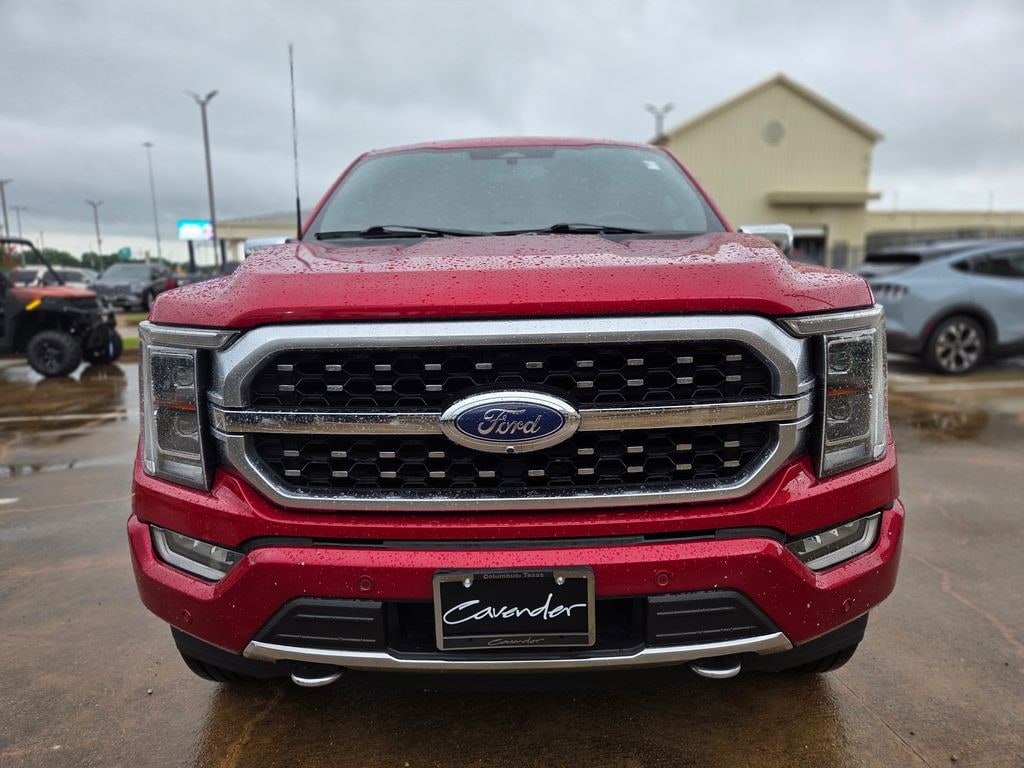 Used 2021 Ford F-150 Platinum Truck