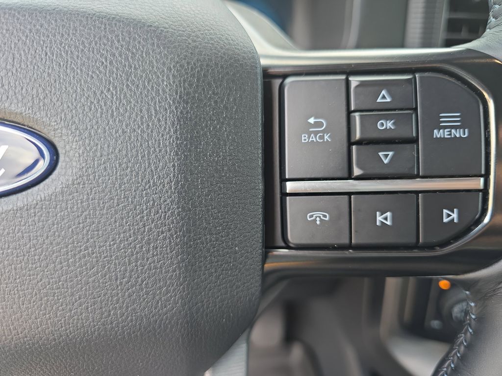 2025 Ford F-150 Platinum - Photo 17