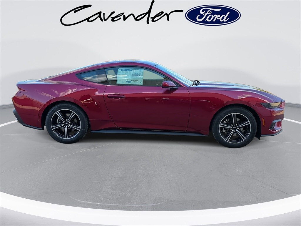2025 Ford Mustang EcoBoost photo 4