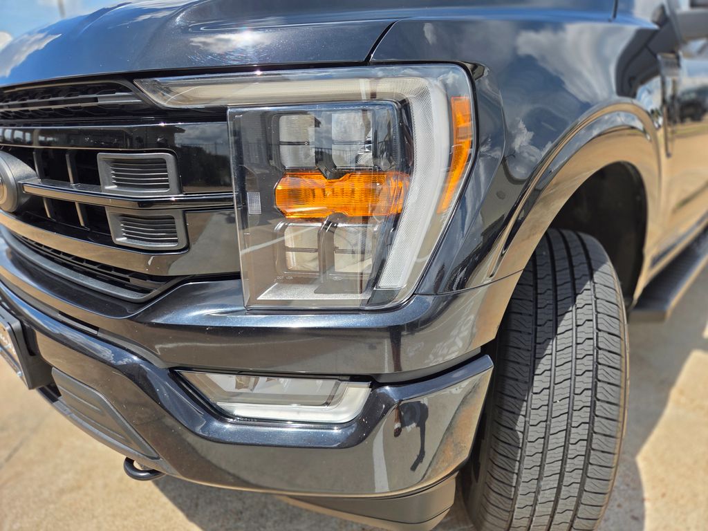 Photo 31