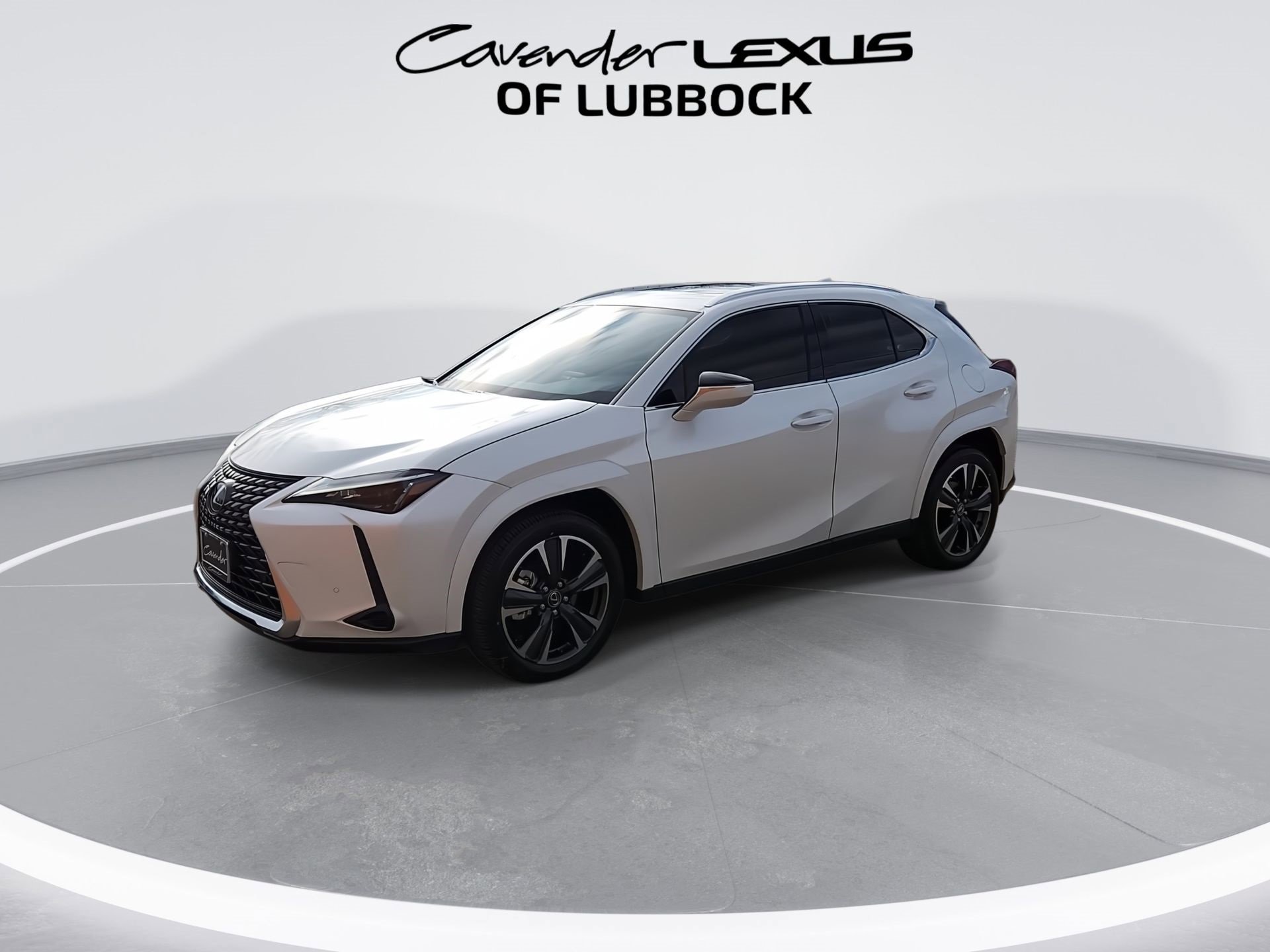 2025 Lexus UX Premium photo 4