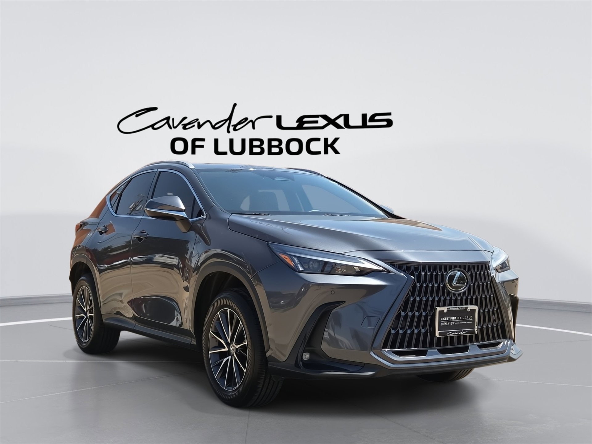 NX 250 Premium