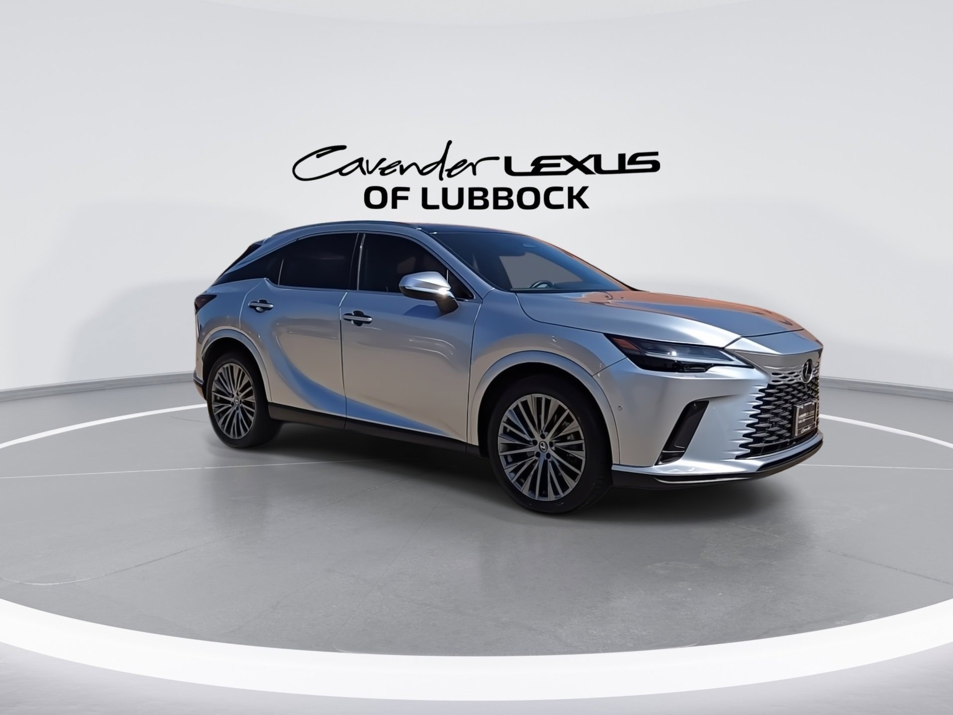 2023 Lexus RX 350 Luxury photo 2