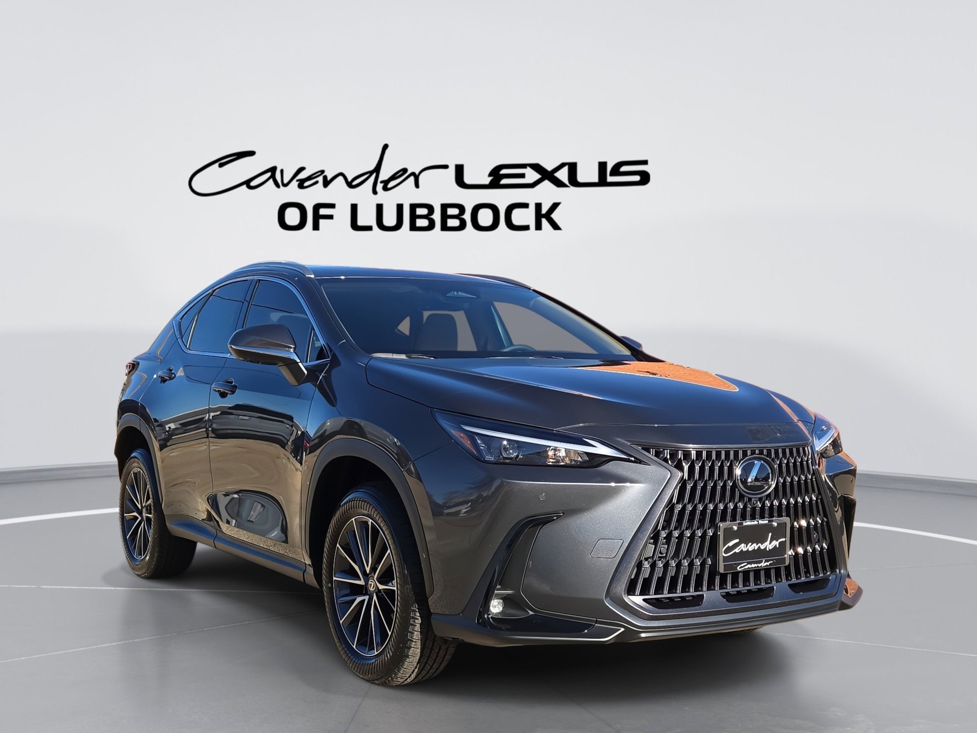 2026 Lexus NX 350's photo