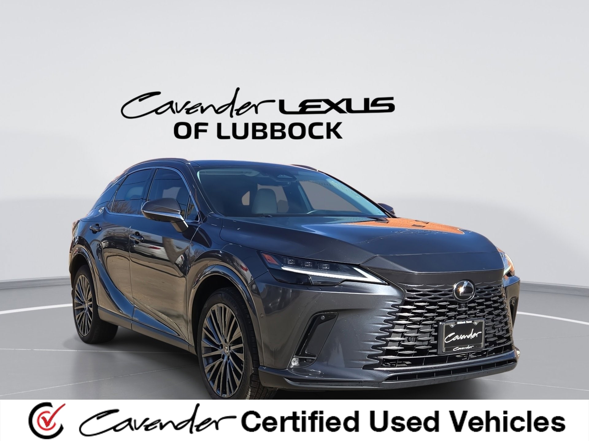 2024 Lexus RX 350's photo