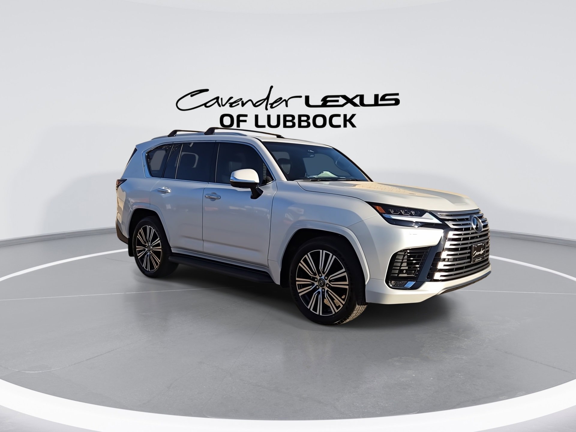 2025 Lexus LX Luxury photo 2