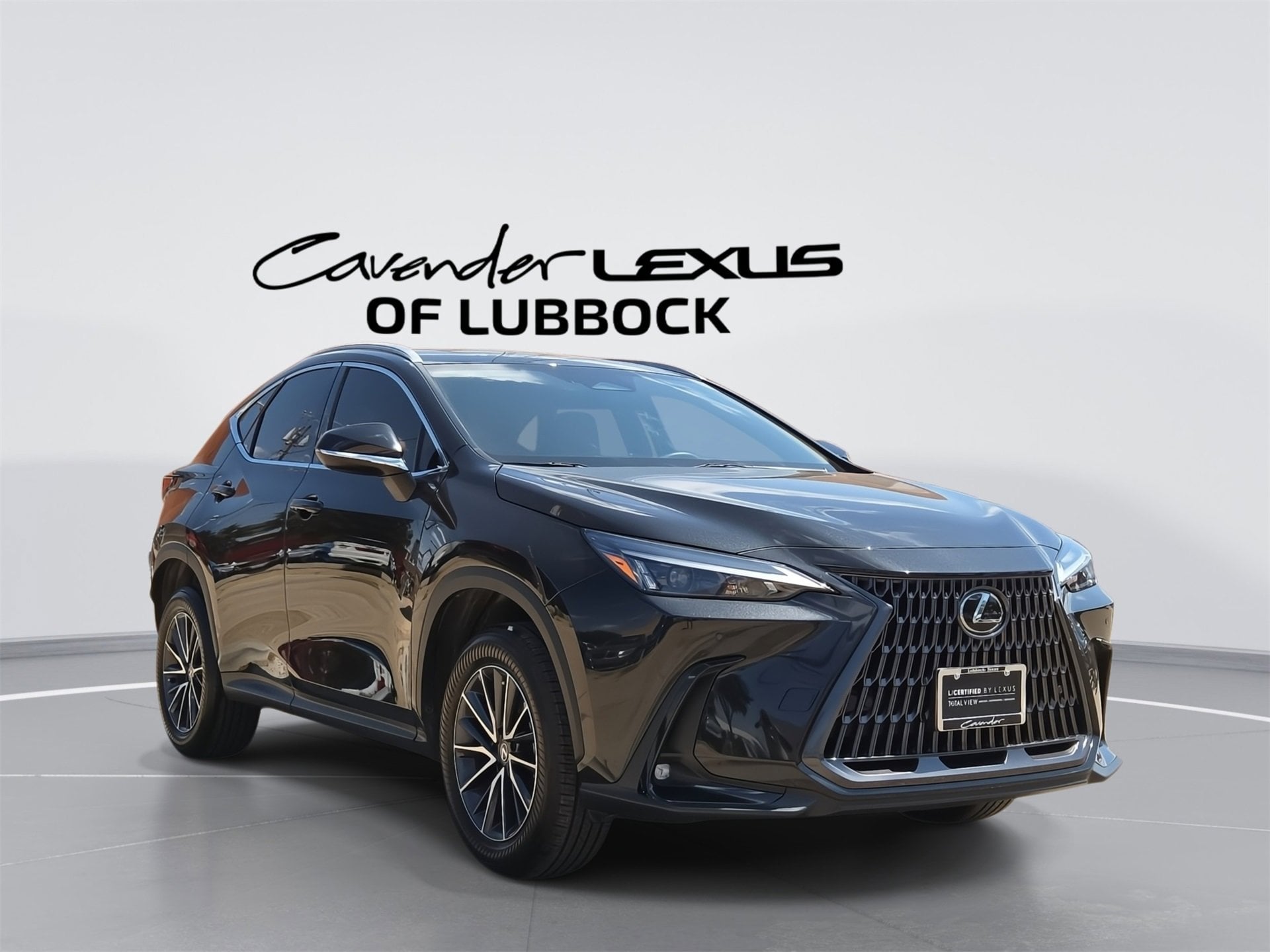 NX 250 Premium