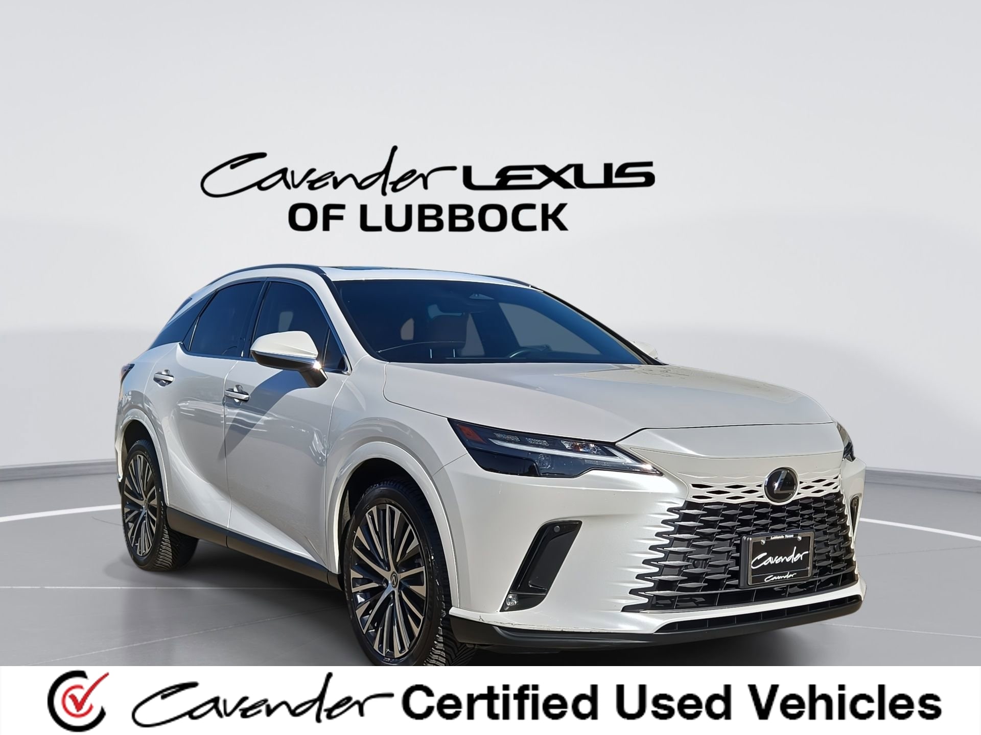 2023 Lexus RX 350 350 Premium Plus FWD's photo