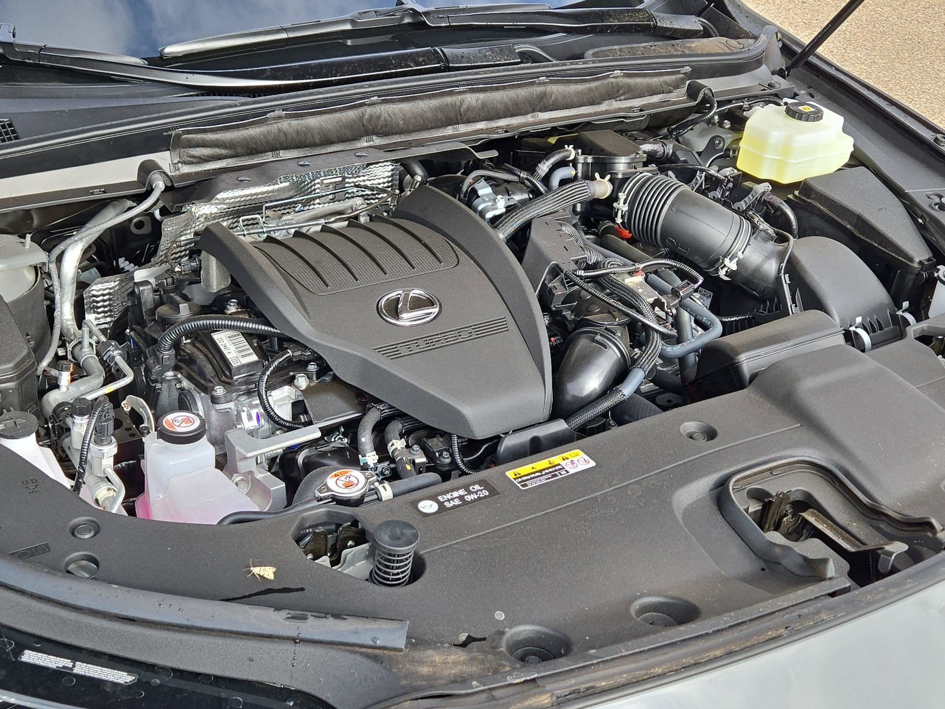 car-gallery-10