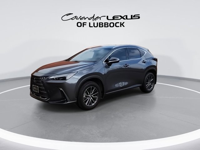 2024 Lexus NX 250 photo 4