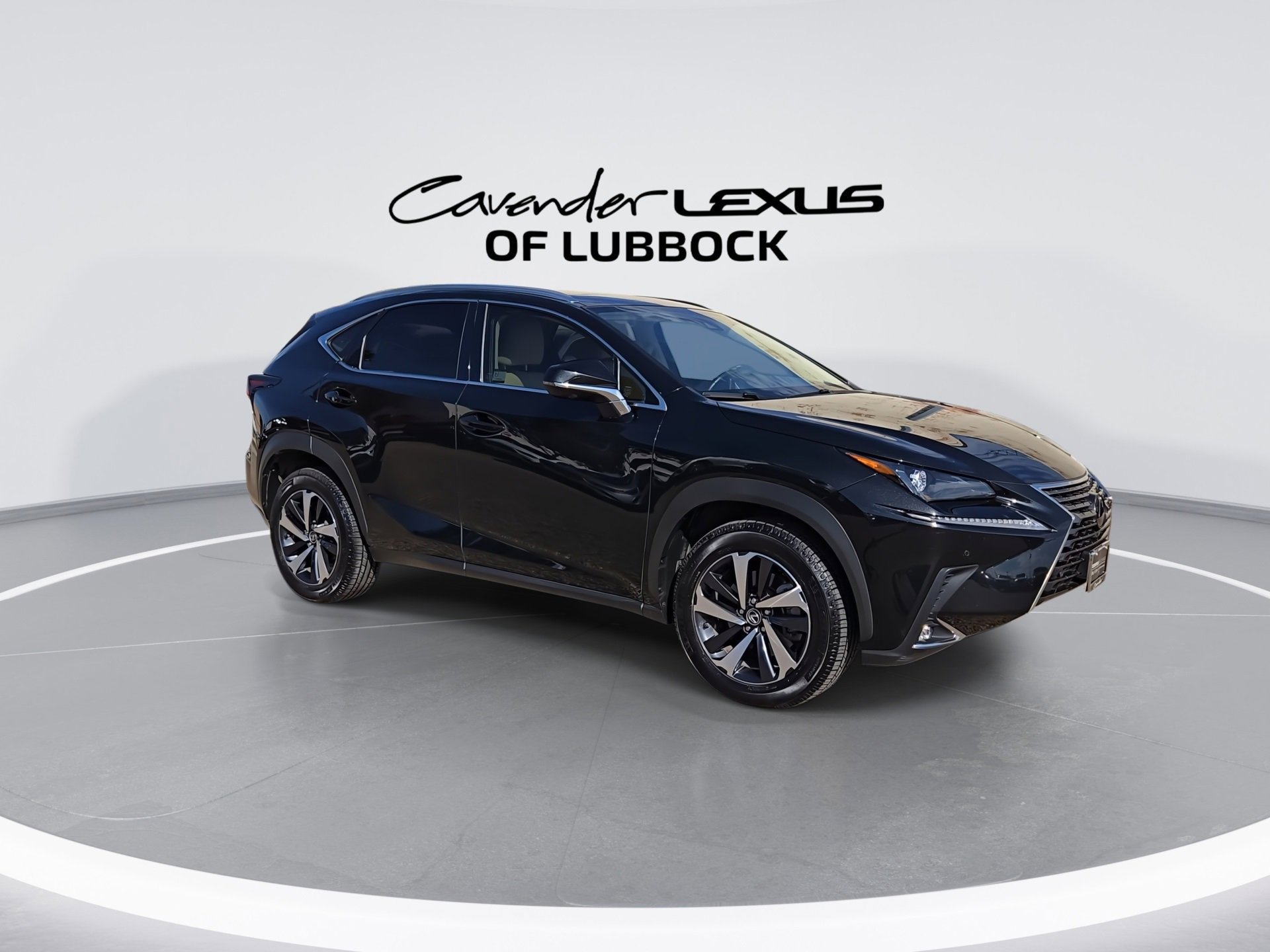 2021 Lexus NX 300 Premium photo 2