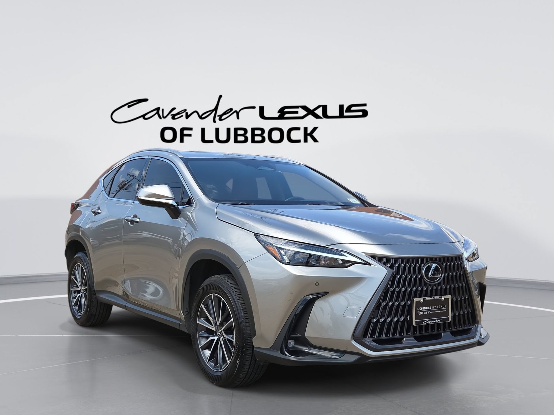 2024 Lexus NX 350h 350h Premium AWD's photo