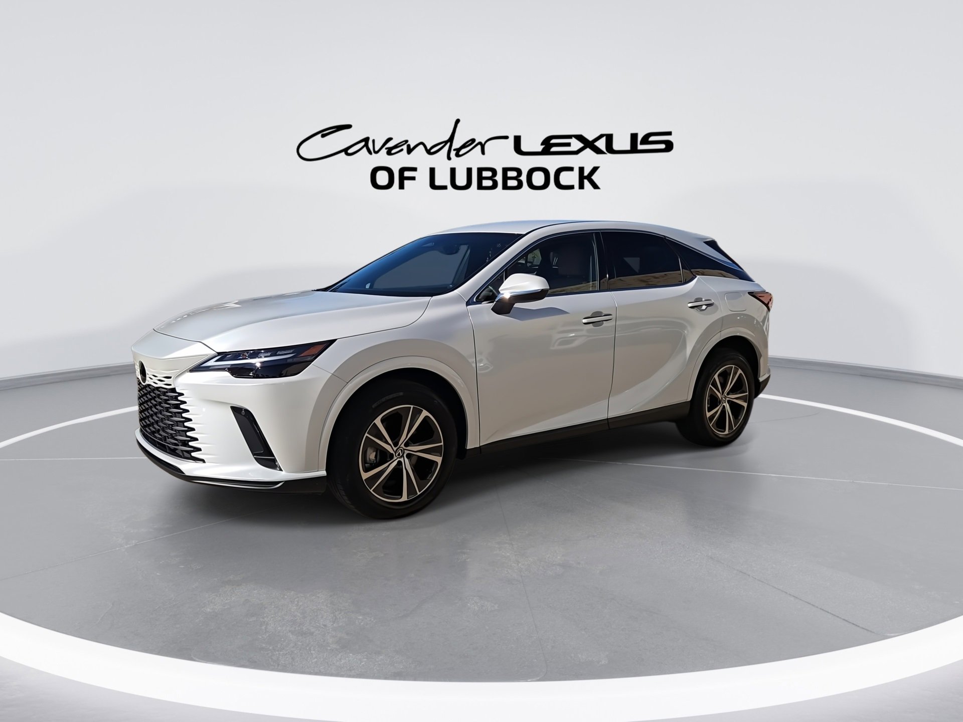 2025 Lexus RX 350 photo 4