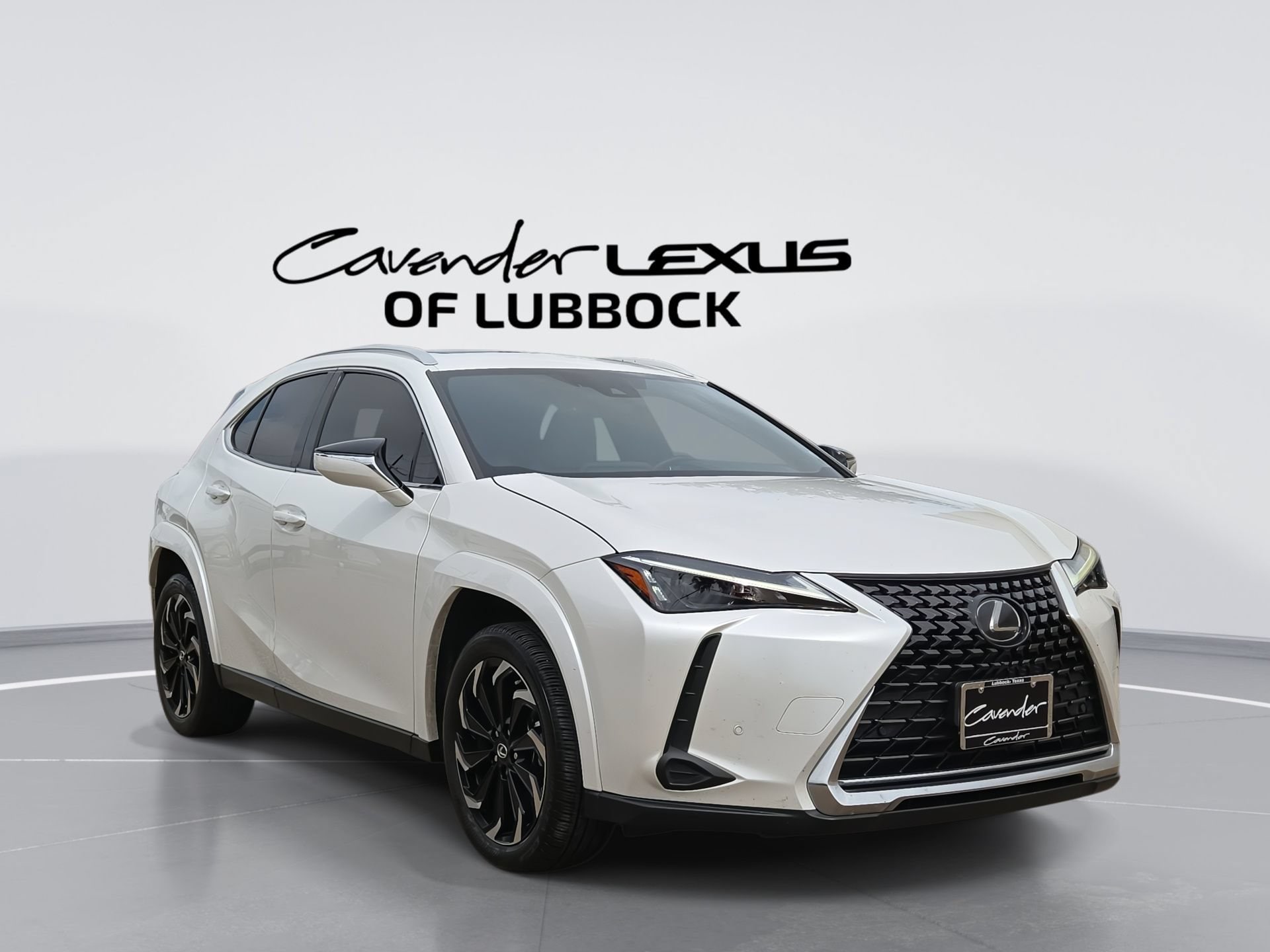 2023 Lexus UX 300h 250h Premium's photo