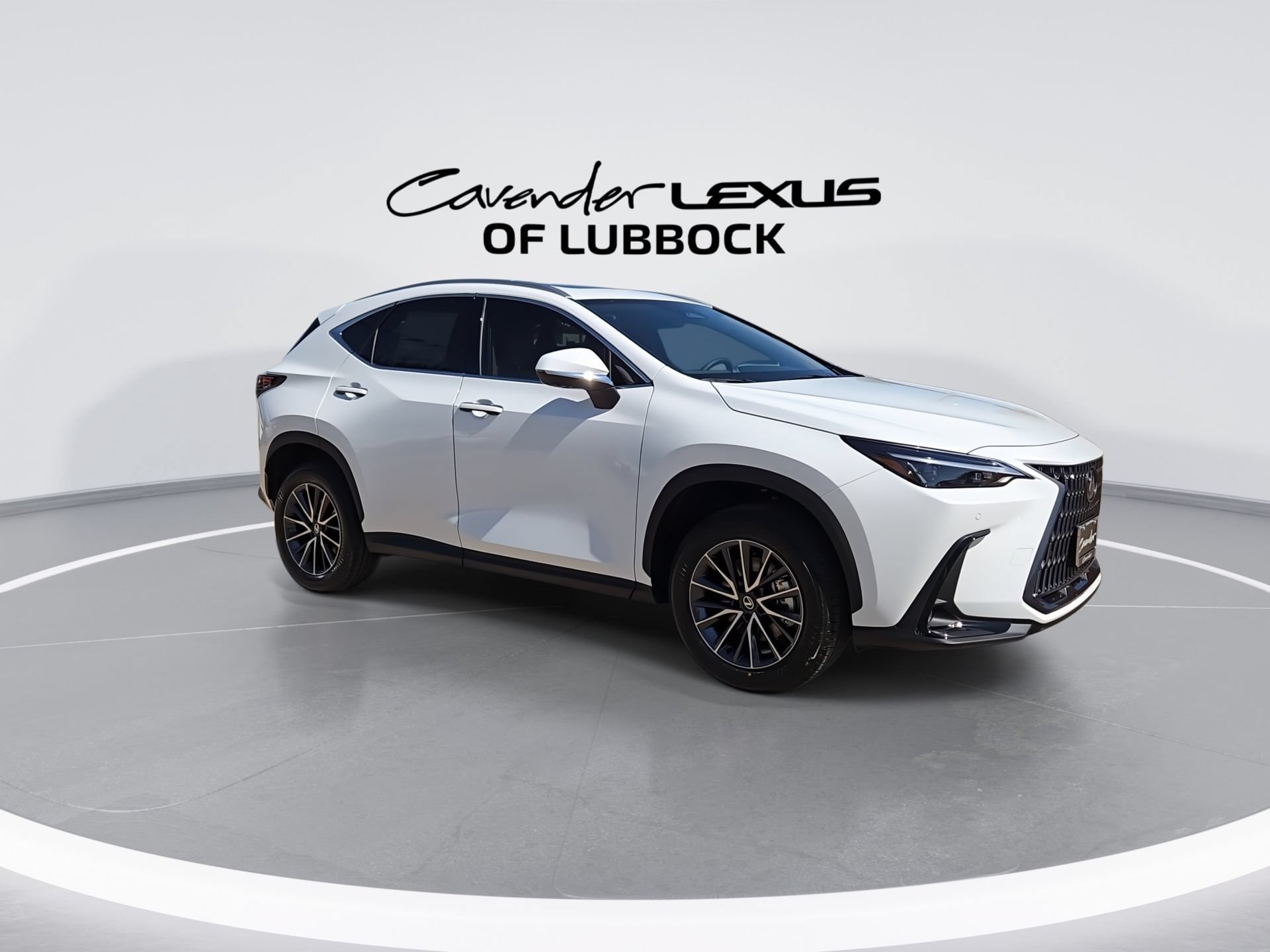 car-gallery-2