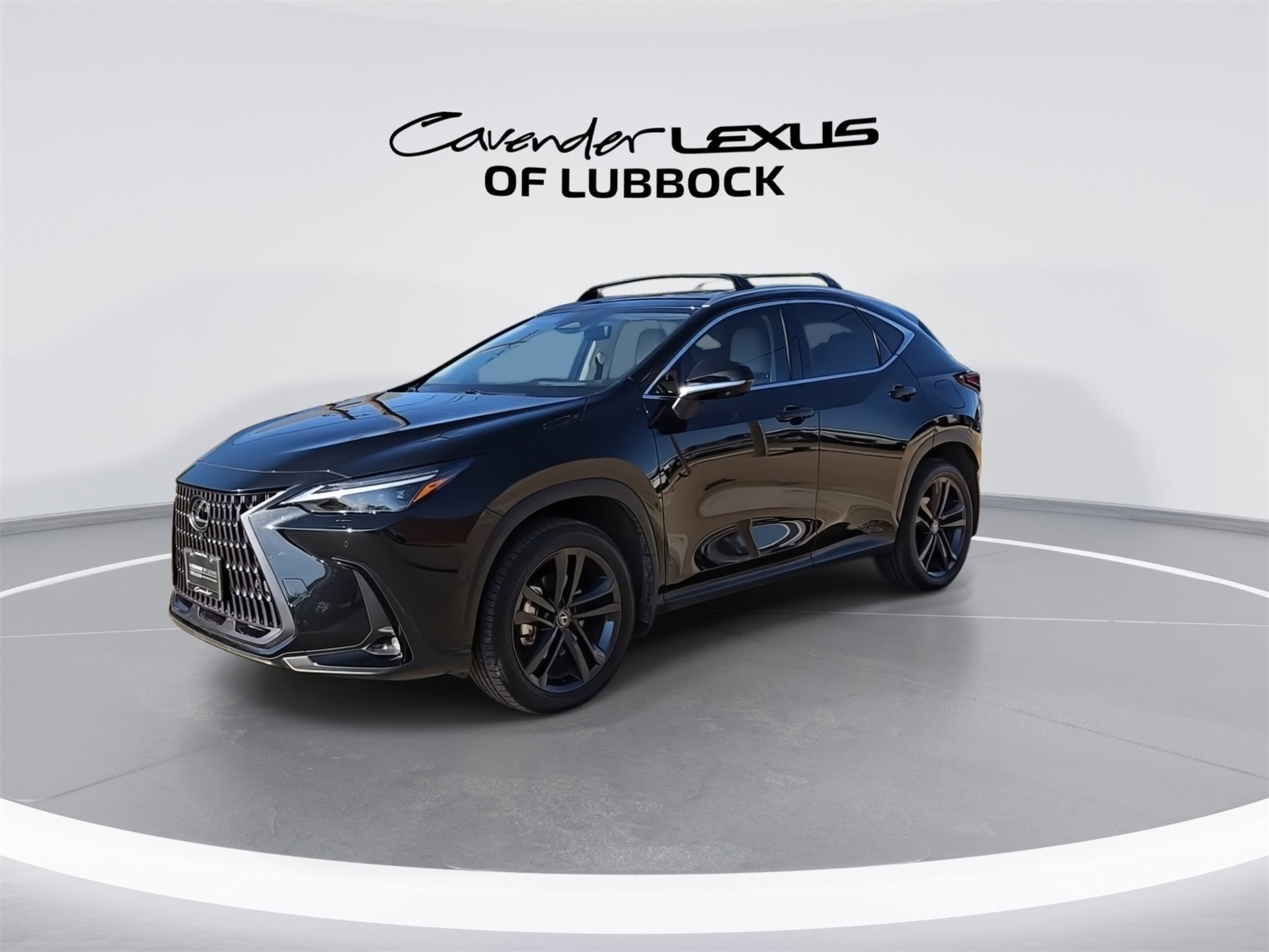2025 Lexus NX Luxury photo 3