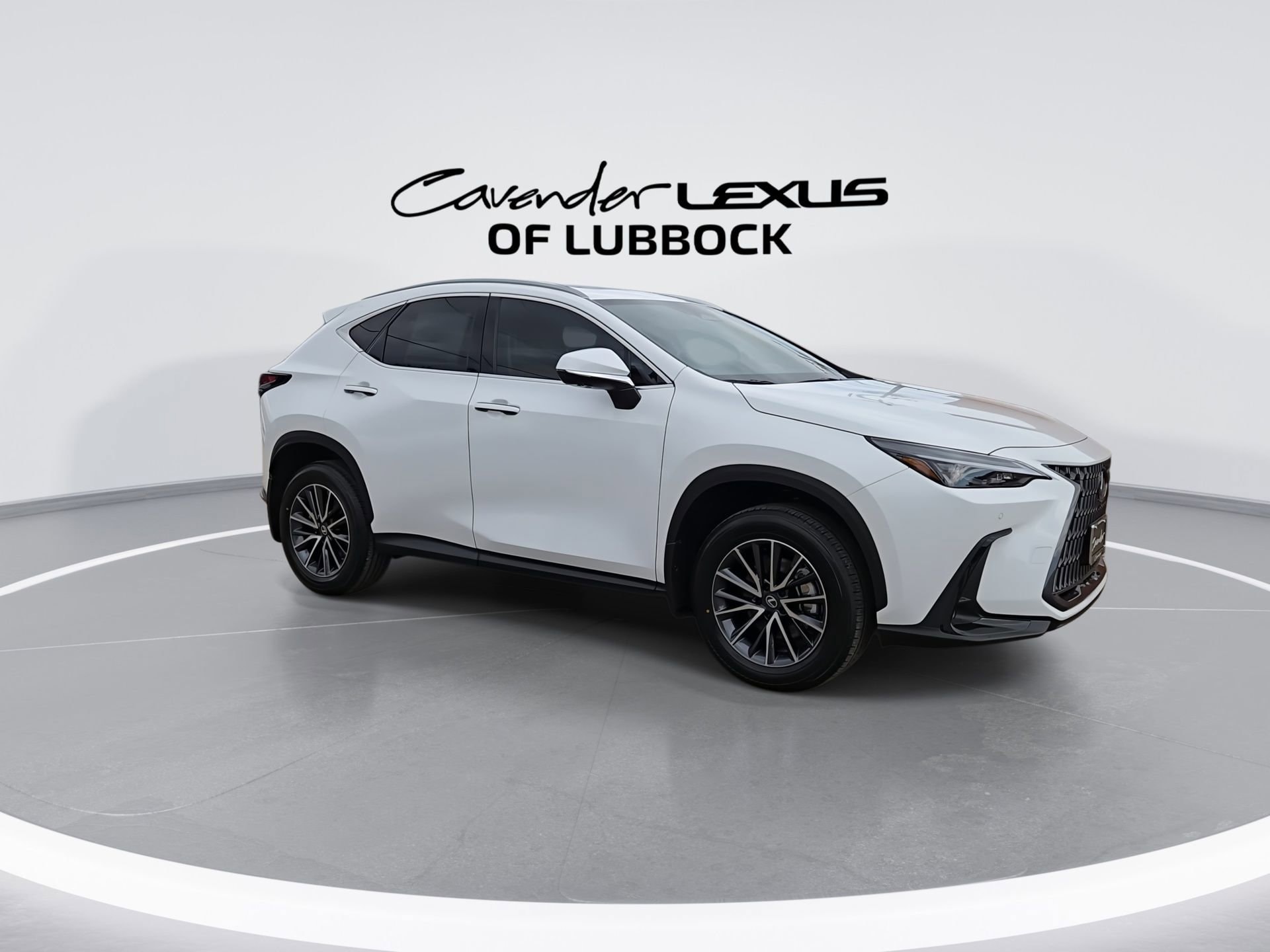 car-gallery-2