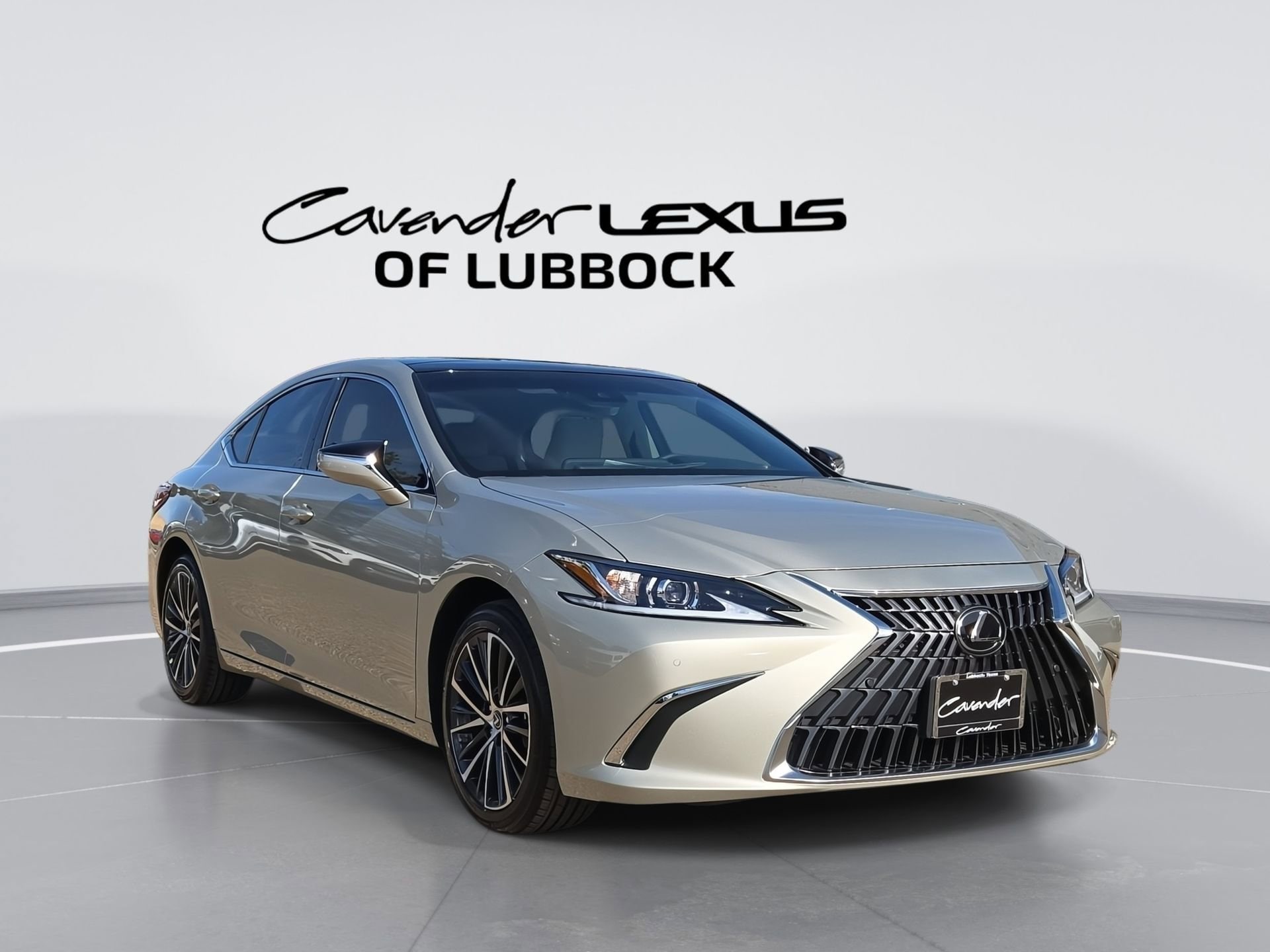 car-gallery-1