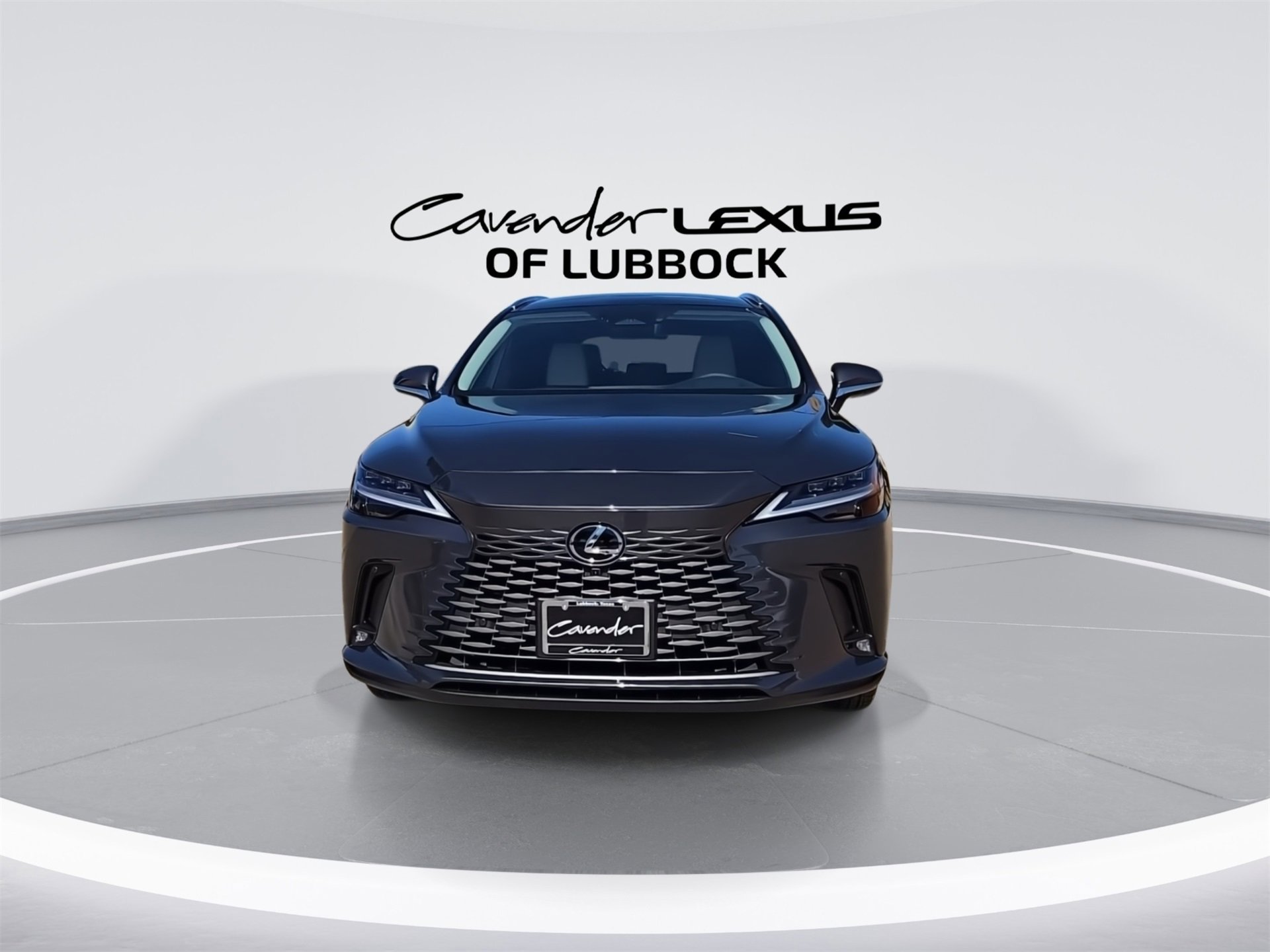 2025 Lexus RX 350 Luxury photo 2