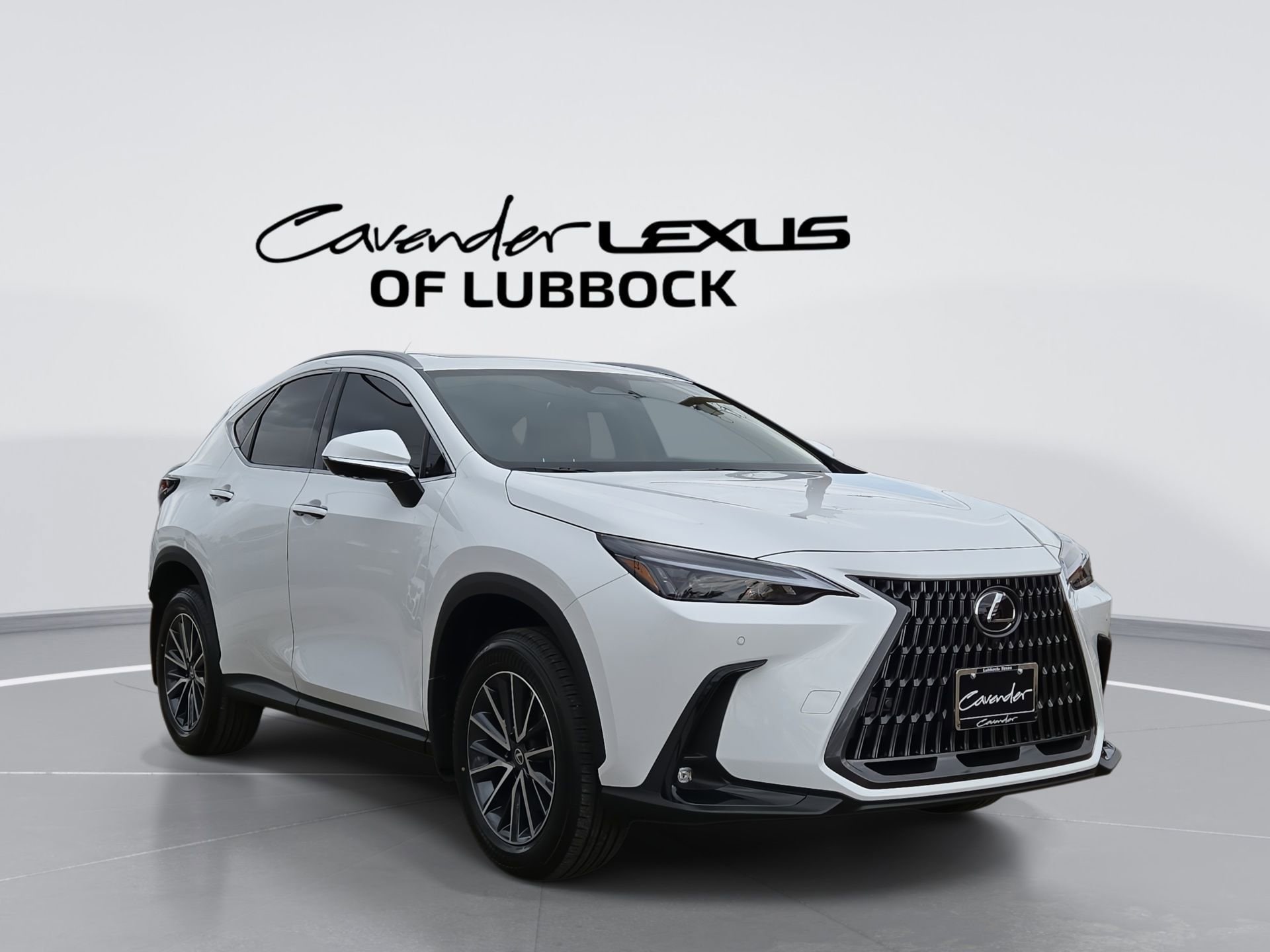 car-gallery-1