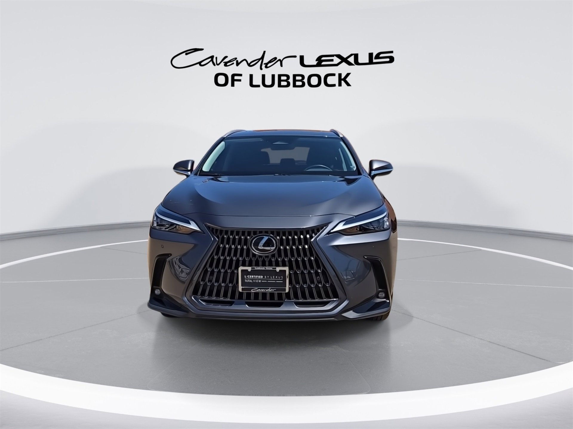 2025 Lexus NX 250 Premium photo 2
