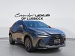 LEXUS NX 250