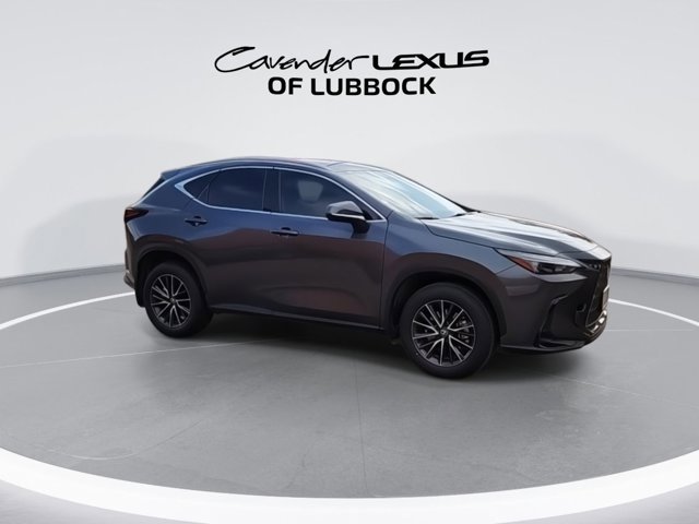 2024 Lexus NX 250 photo 2