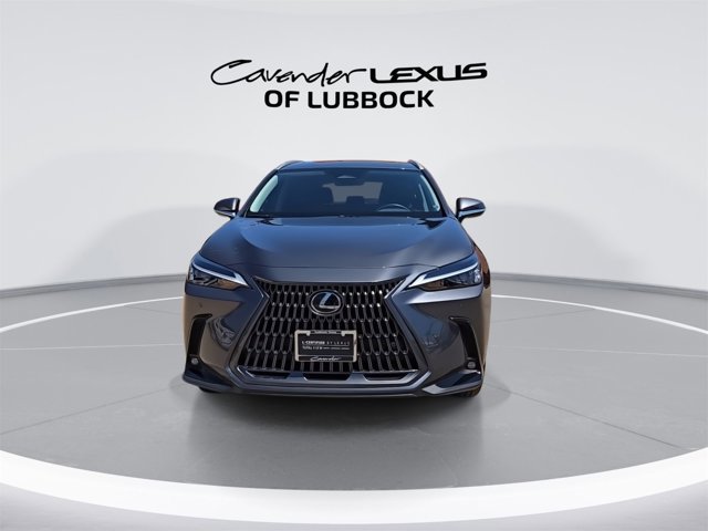 2025 Lexus NX 250 Premium photo 2