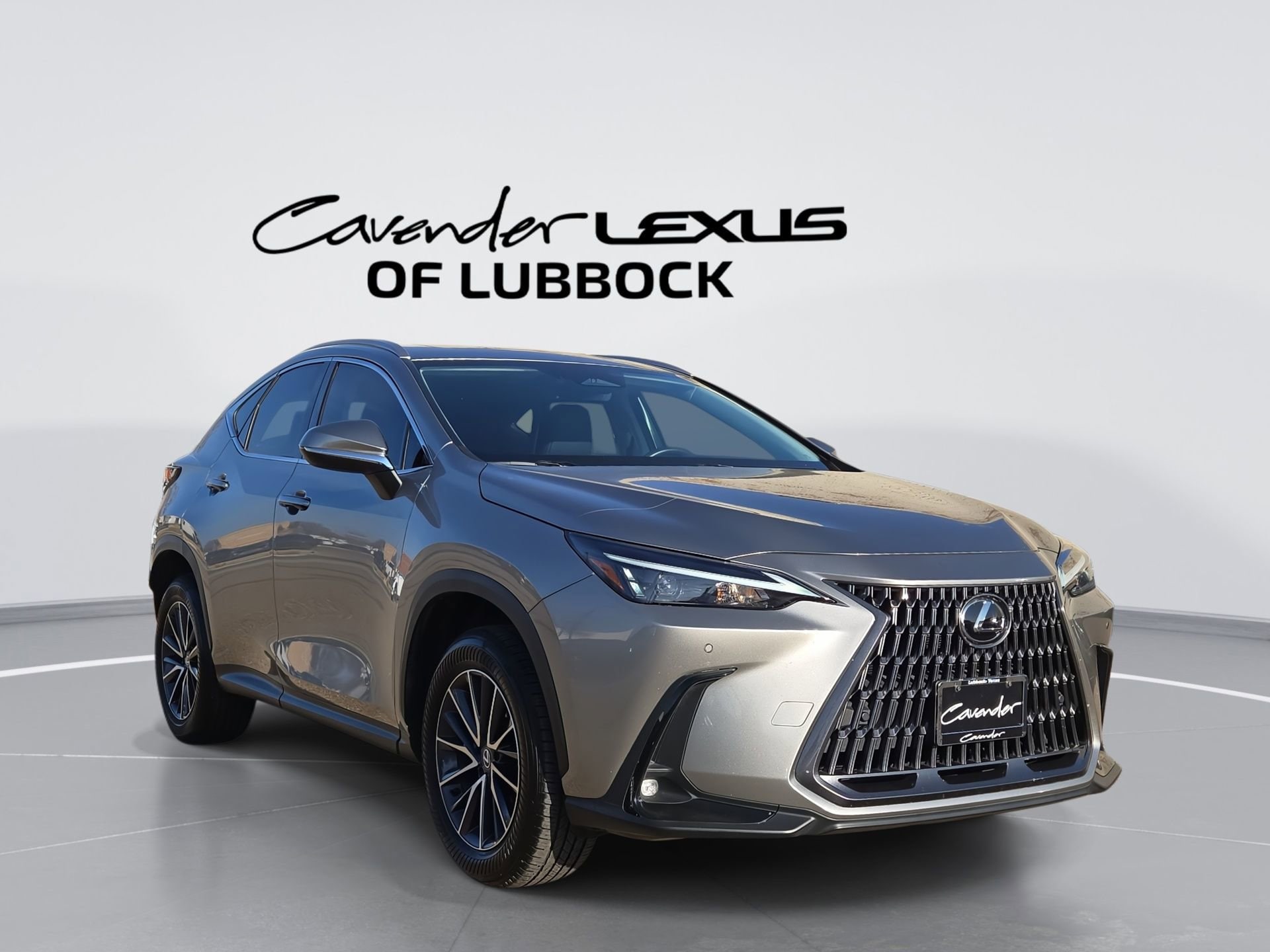 2025 Lexus NX 250 Premium FWD