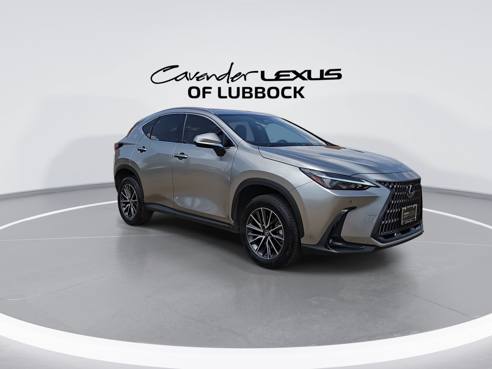 car-gallery-2
