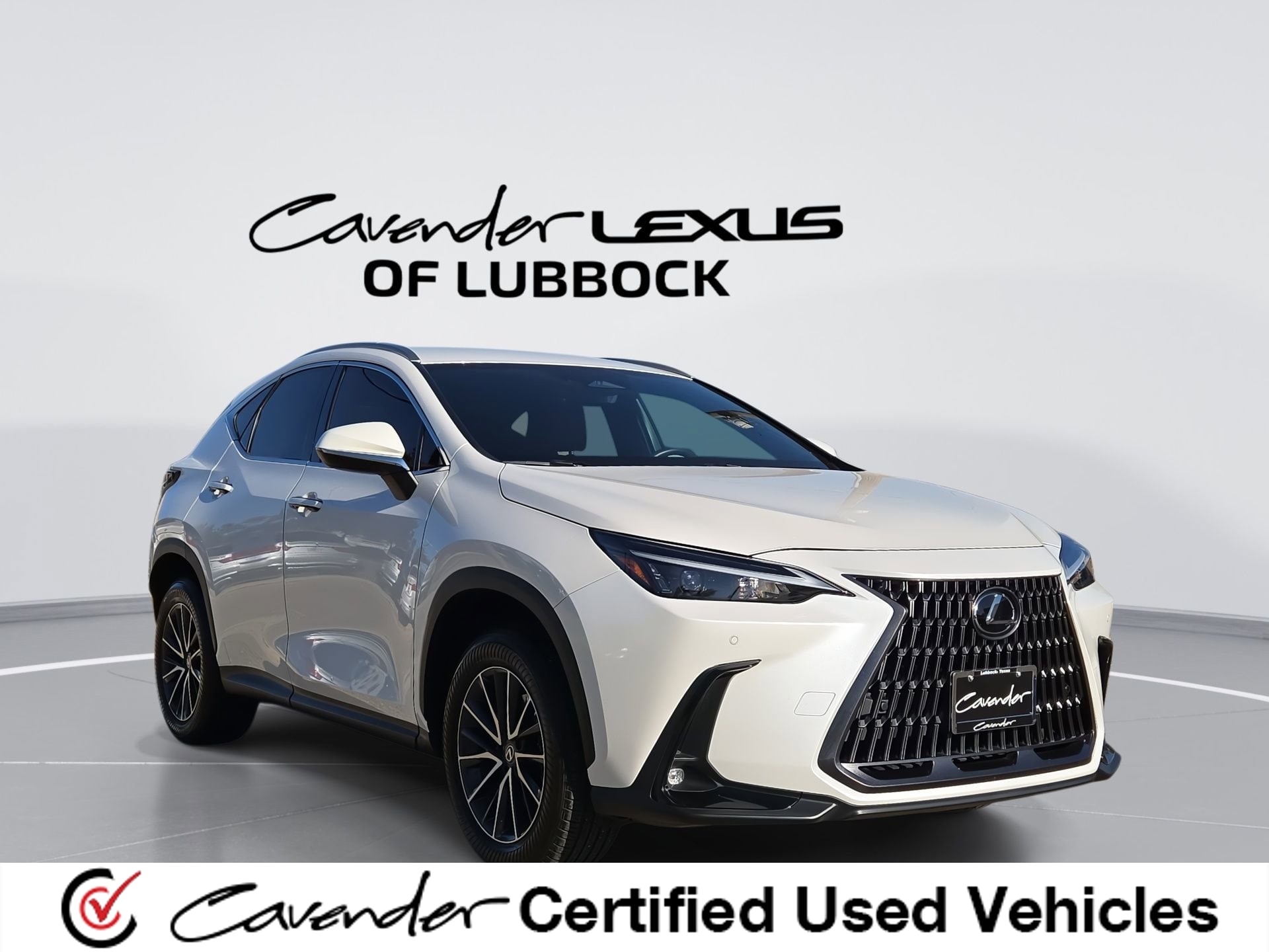 2025 Lexus NX 350 250 FWD's photo
