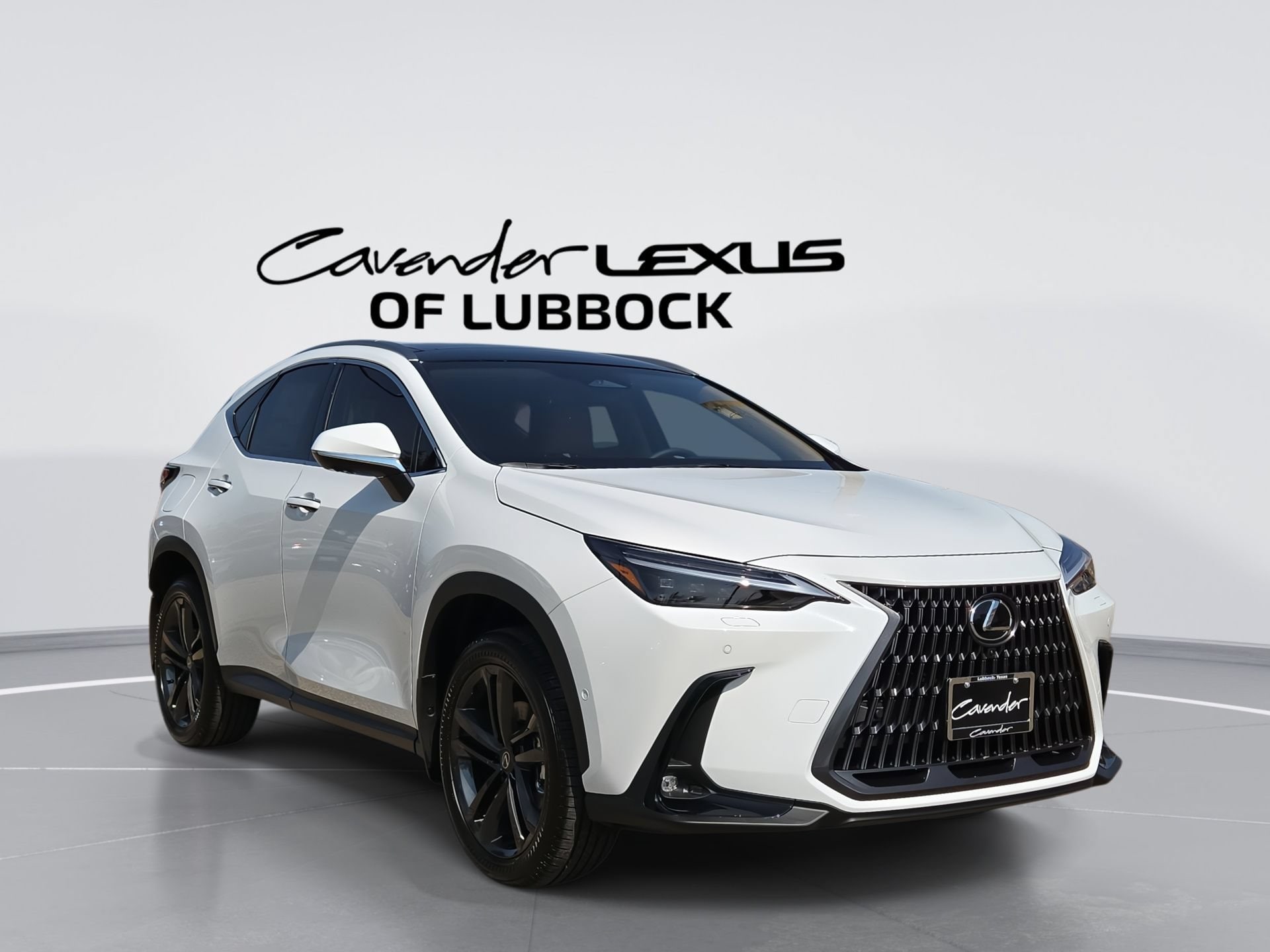 2026 Lexus NX