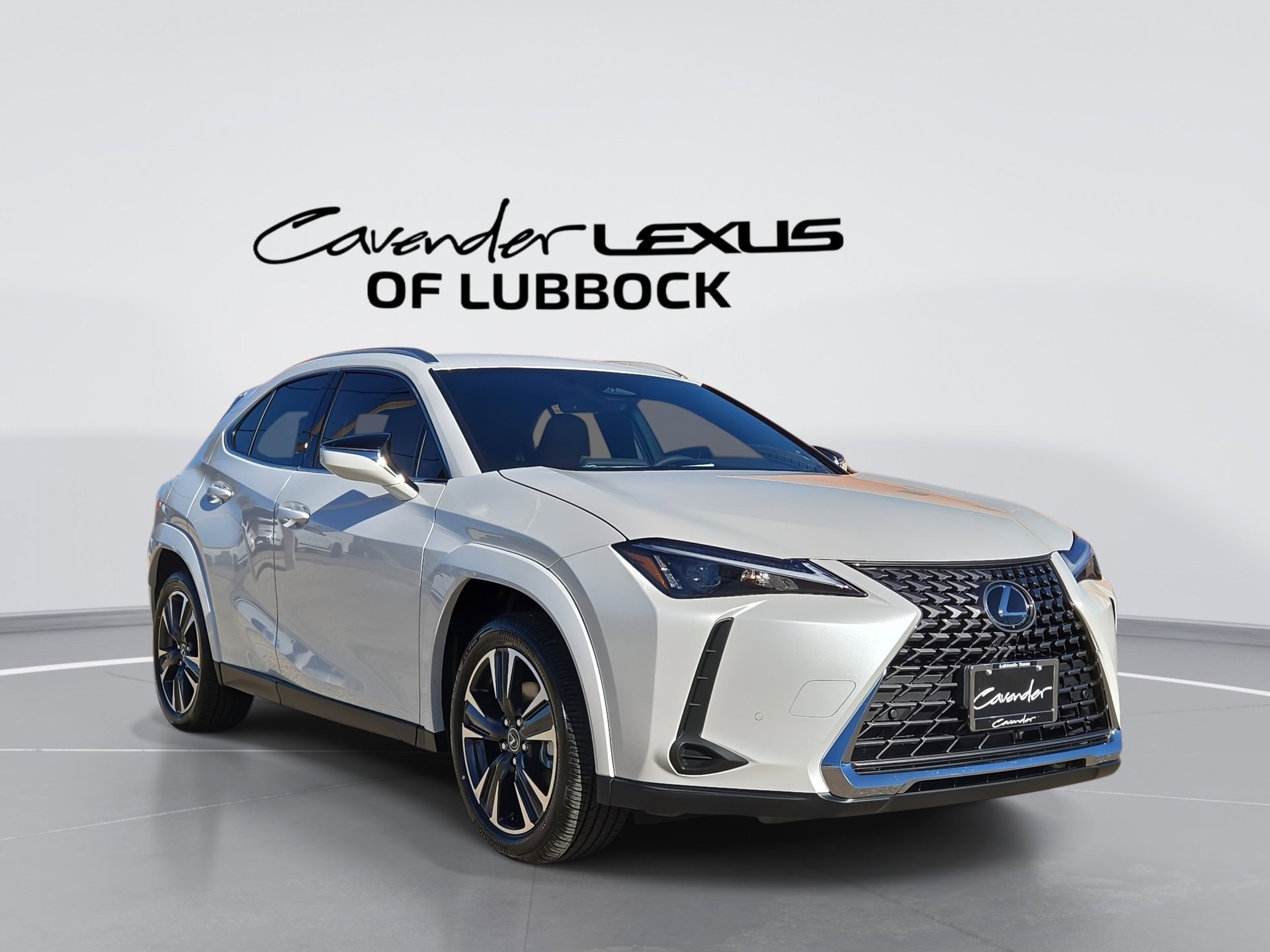 2025 Lexus UX Hybrid 300h Premium's photo