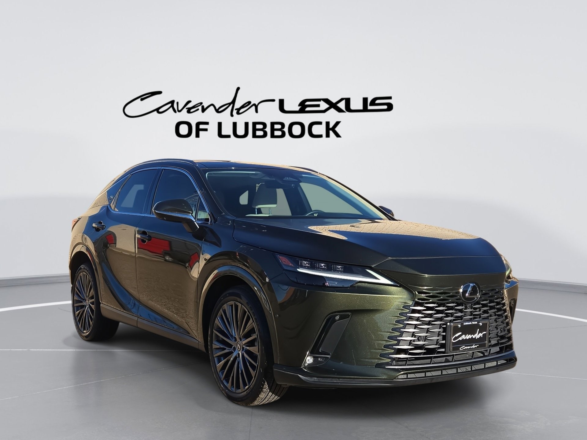 2023 Lexus RX Base's photo