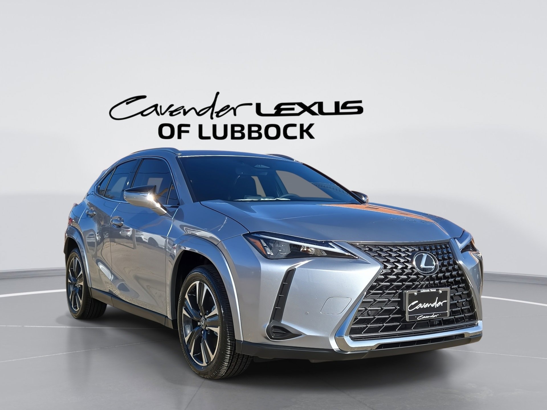 2025 Lexus UX Hybrid 300h Premium's photo