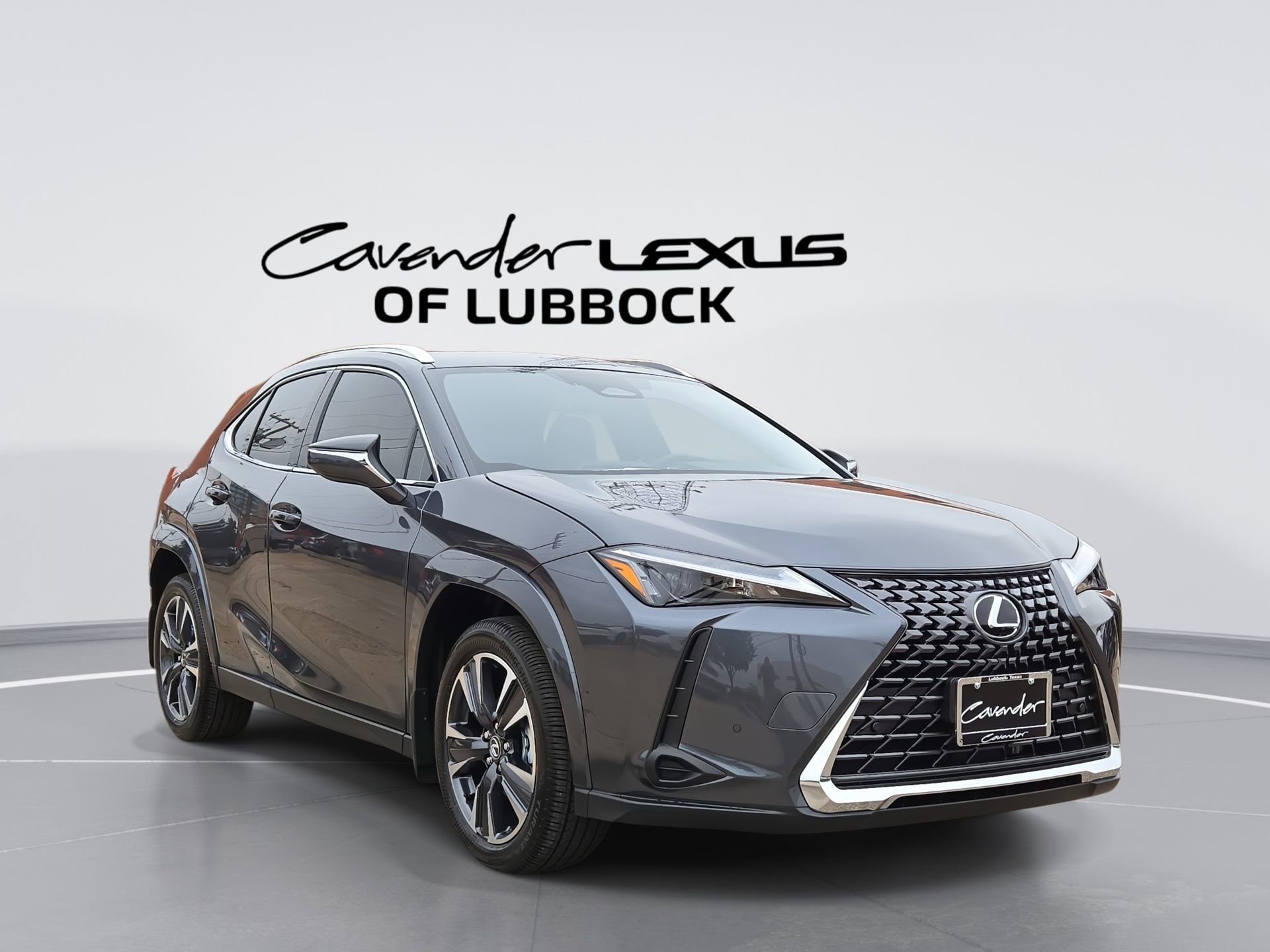 2026 Lexus UX 300h 300h Premium's photo