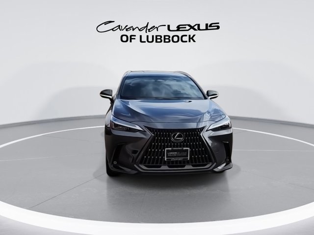 2024 Lexus NX 250 photo 3