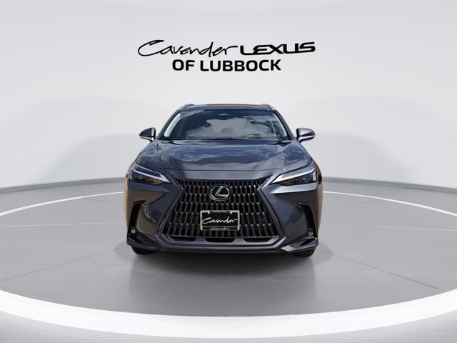 2025 Lexus NX 350h Premium photo 3