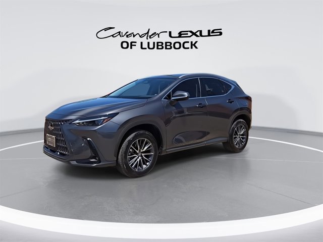 2025 Lexus NX 250 Premium photo 3