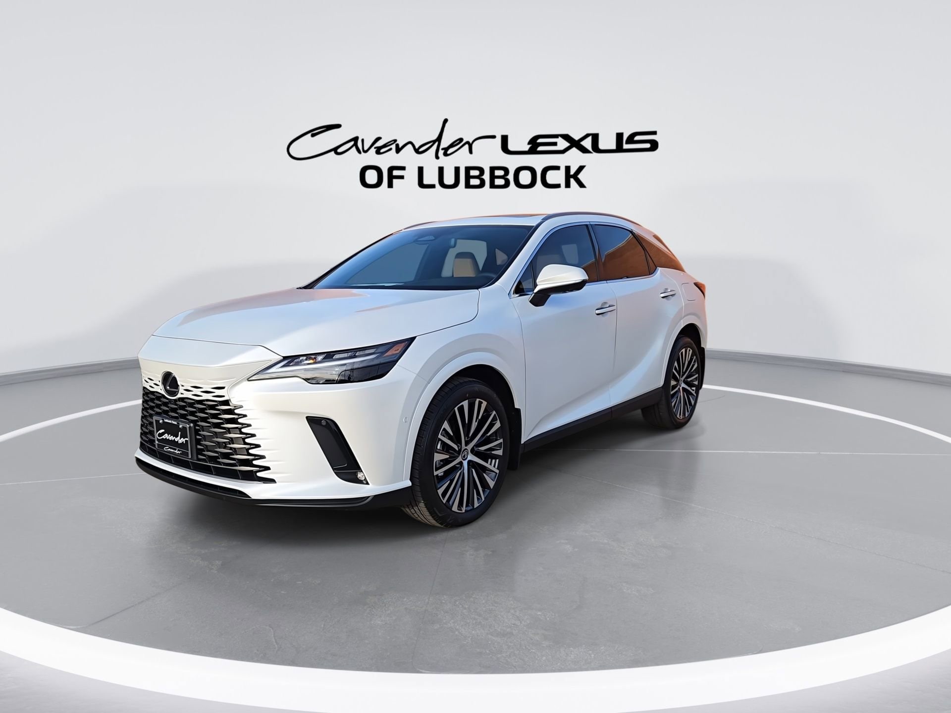 View vehicle photo 3