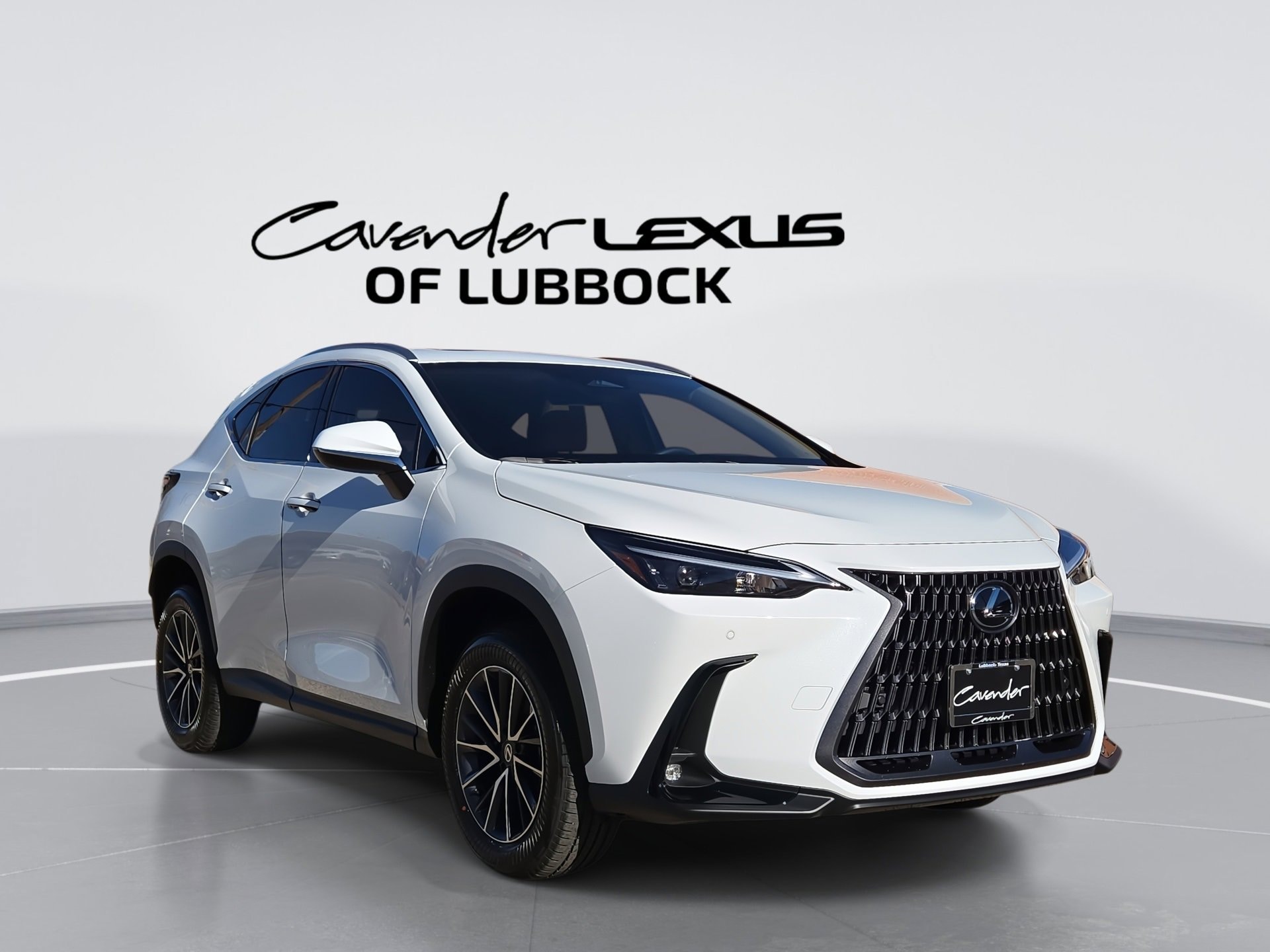 2026 Lexus NX Hybrid 350h's photo