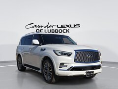 2019 INFINITI QX80 LUXE ProASSIST