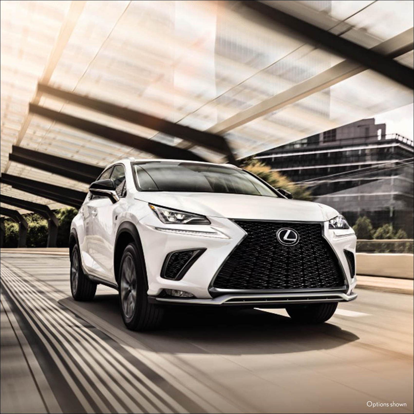 2021 Lexus NX vs Toyota RAV4 | Cavender Lexus of Lubbock