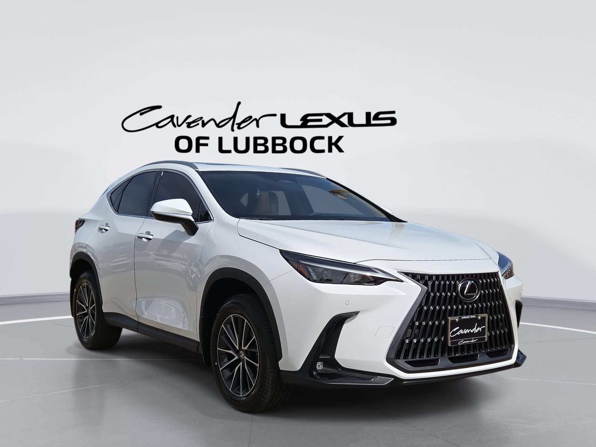 car-gallery-1