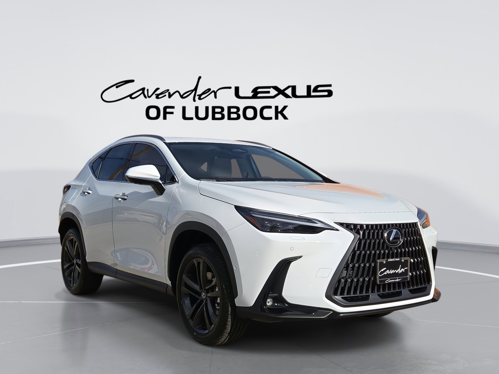 2026 Lexus NX PHEV 450h+'s photo