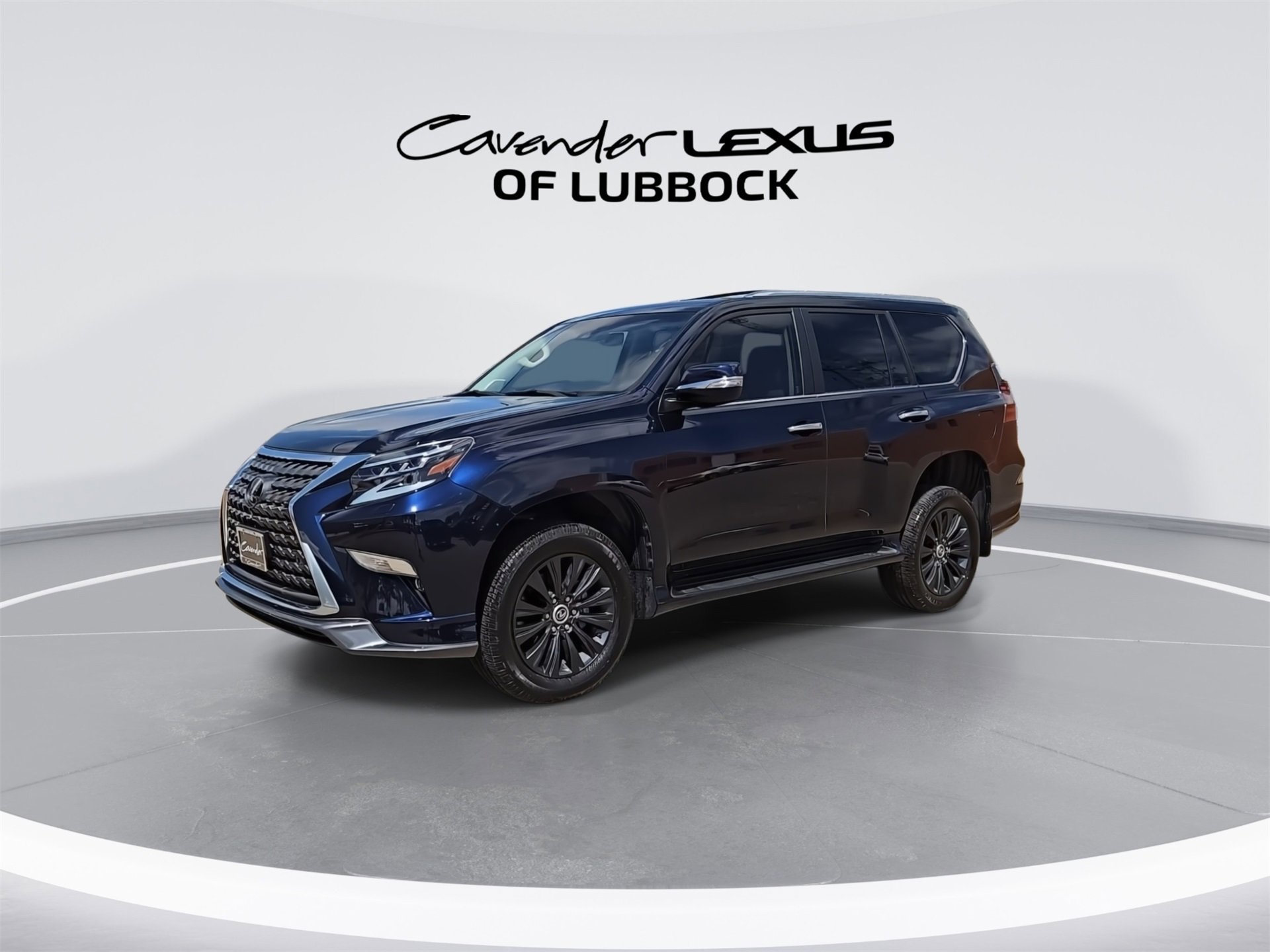 2023 Lexus GX 460 Luxury photo 2