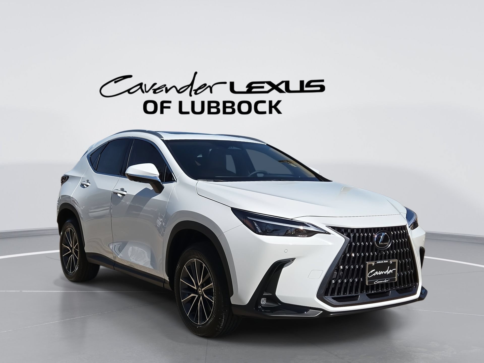car-gallery-1