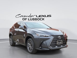 2025 LEXUS NX 250 250 Base SUV